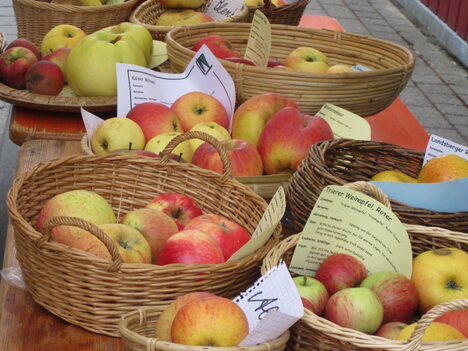 Apfelausstellung auf dem Herbstmarkt (Quelle Landratsamt Main-Spessart)