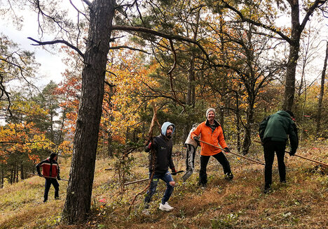 23-11-20 Foto 2_Freiwillige entbuschen den Tiertalberg bei Retzbach_Christiane Brandt