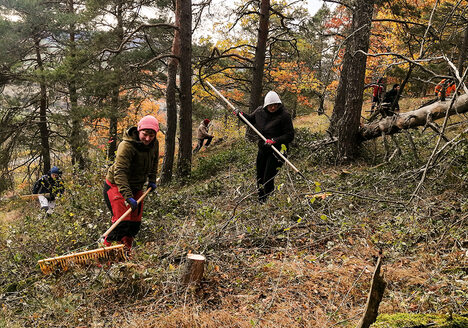 23-11-20 Foto 1_Freiwillige entbuschen den Tiertalberg bei Retzbach_Christiane Brandt